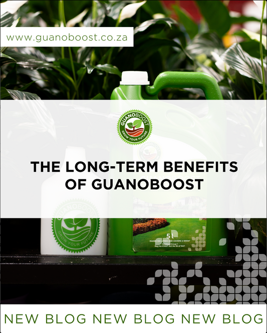The Long-Term Benefits of GuanoBoost