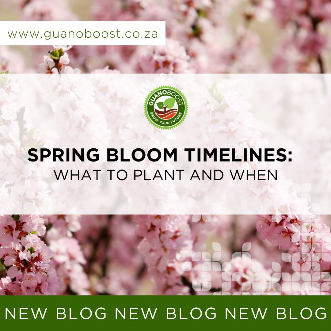 Spring Flower Timeline Spring Bloom Timelines: What to Plant and When – GuanoBoost