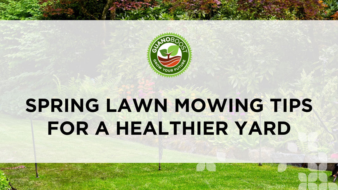 Spring Lawn Mowing Tips for a Healthier Yard