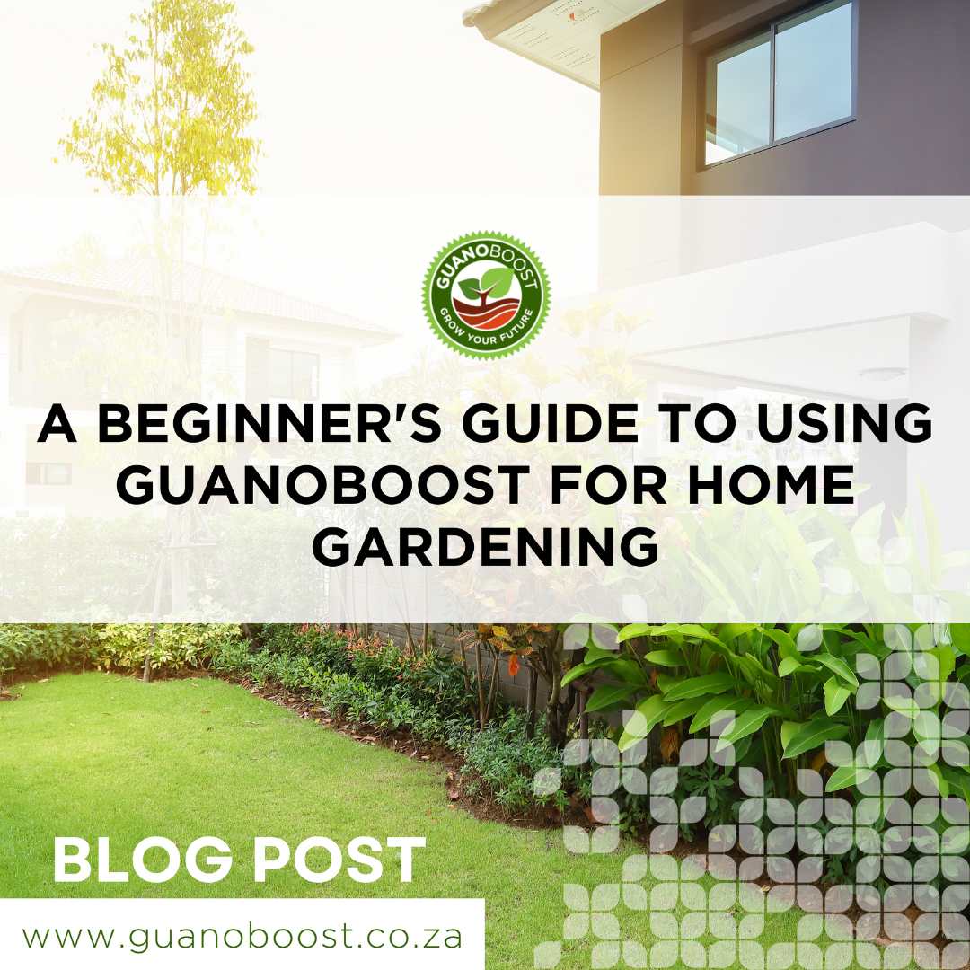A Beginner's Guide to Using GuanoBoost for Home Gardening - GuanoBoost