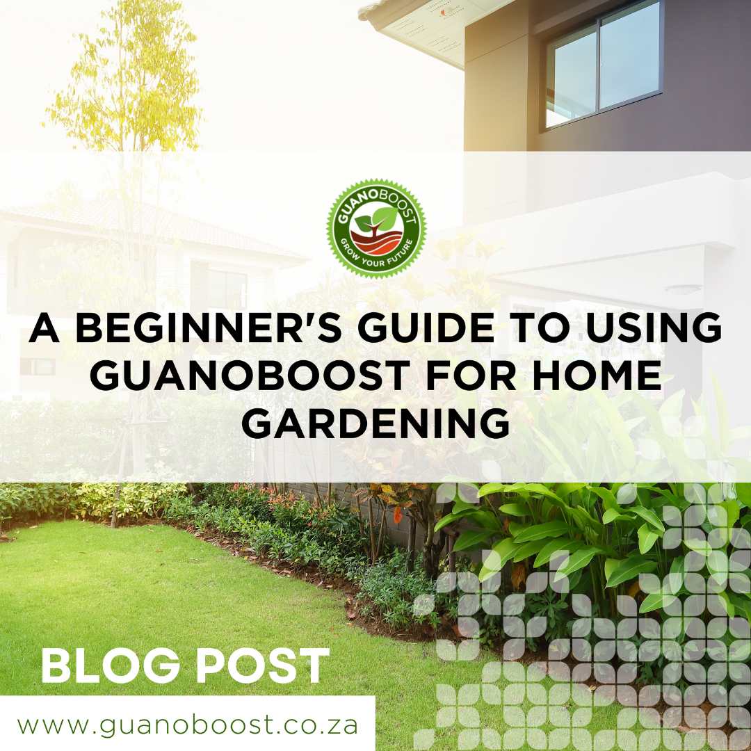 A Beginner's Guide to Using GuanoBoost for Home Gardening - GuanoBoost