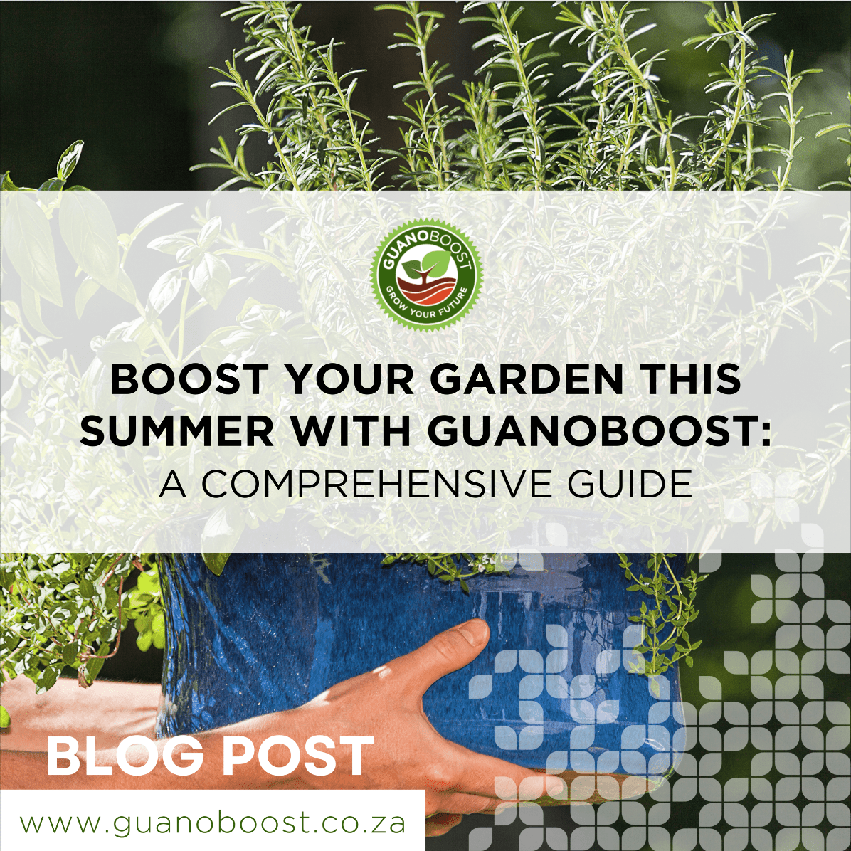 Boost Your Garden This Summer with GuanoBoost: A Comprehensive Guide - GuanoBoost