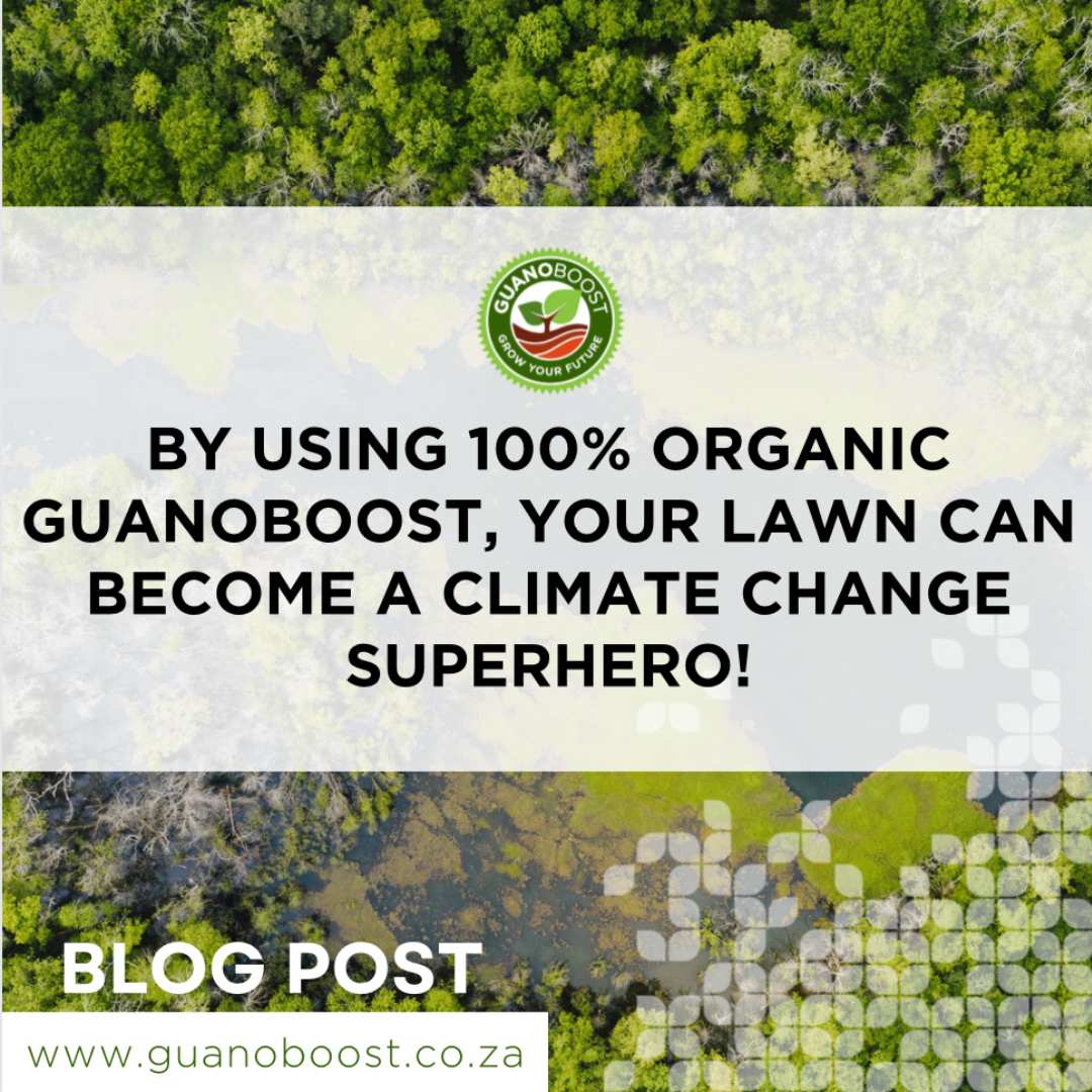 By Using 100% organic GuanoBoost, Your Lawn Can Become a Climate Change Superhero! - GuanoBoost