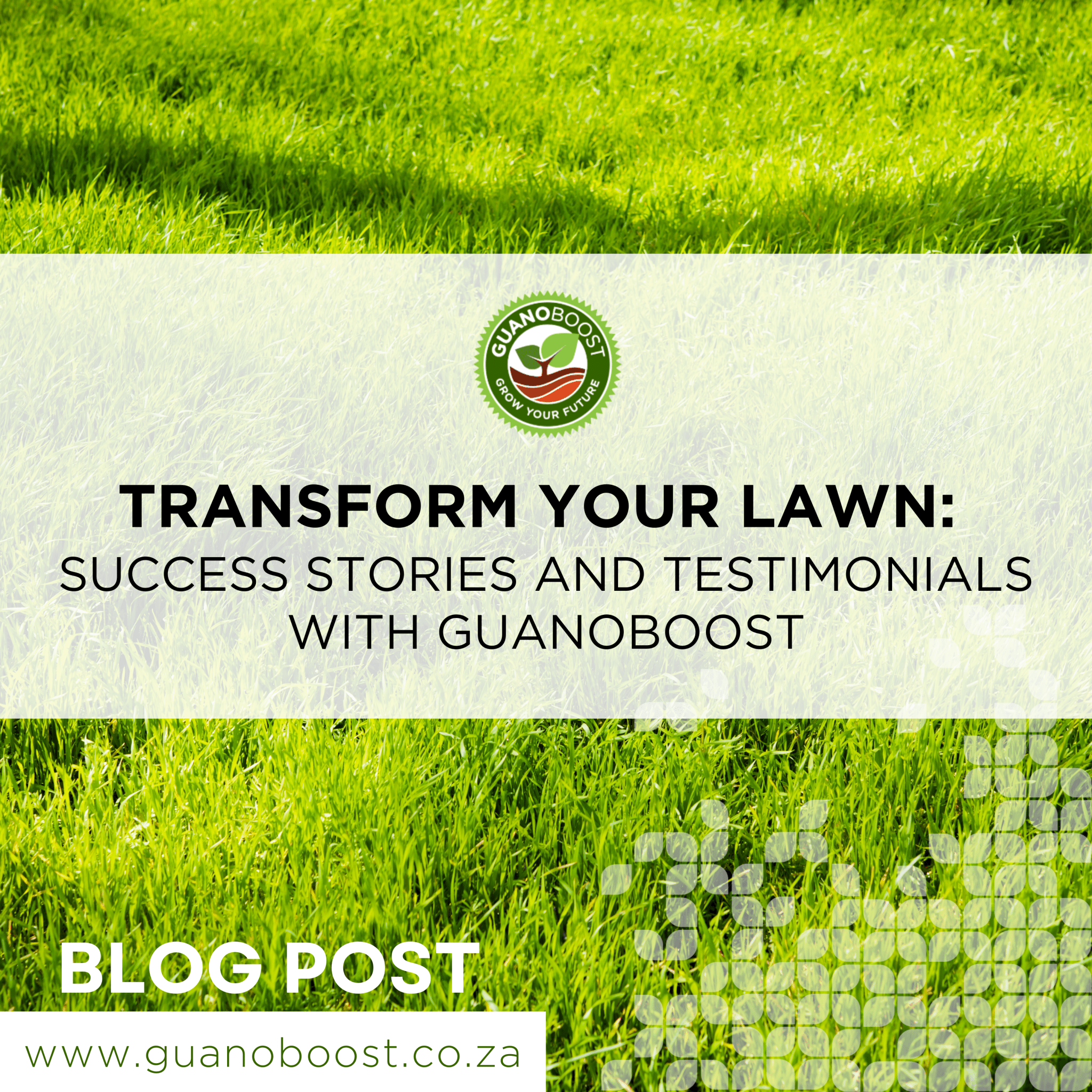 Explore the GuanoBoost Chronicles: Stories of Lawn Transformation - GuanoBoost
