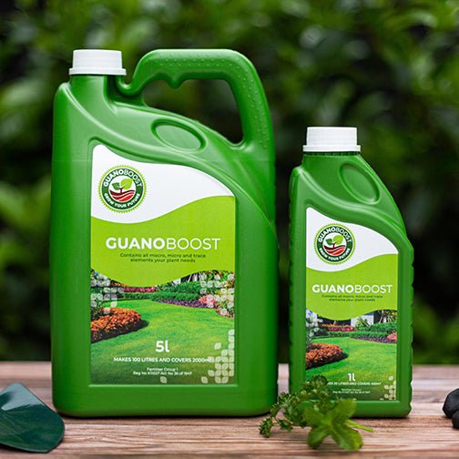 Fighting off lawn frost this winter. - GuanoBoost