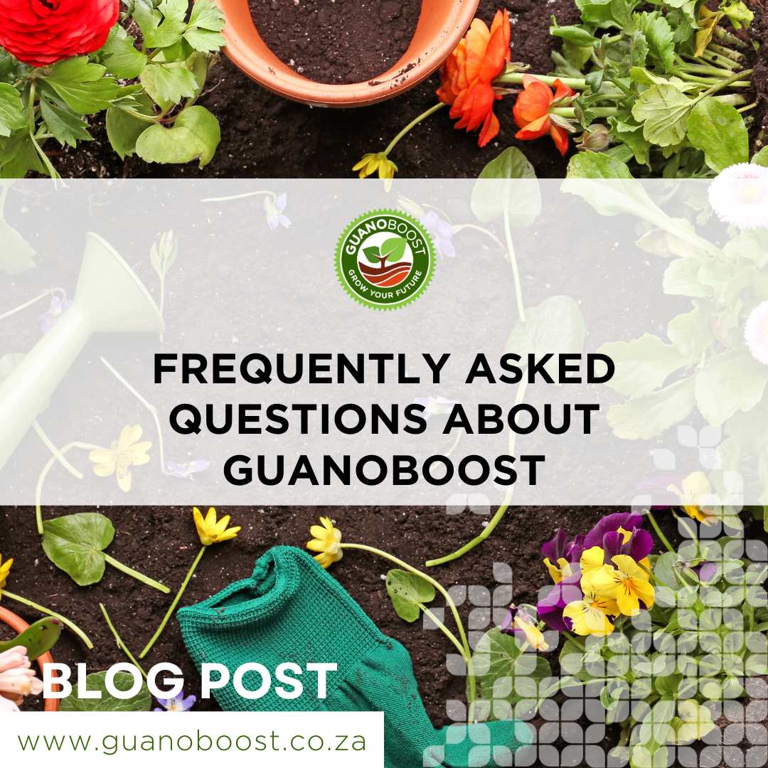 Frequently Asked Questions About GuanoBoost - GuanoBoost