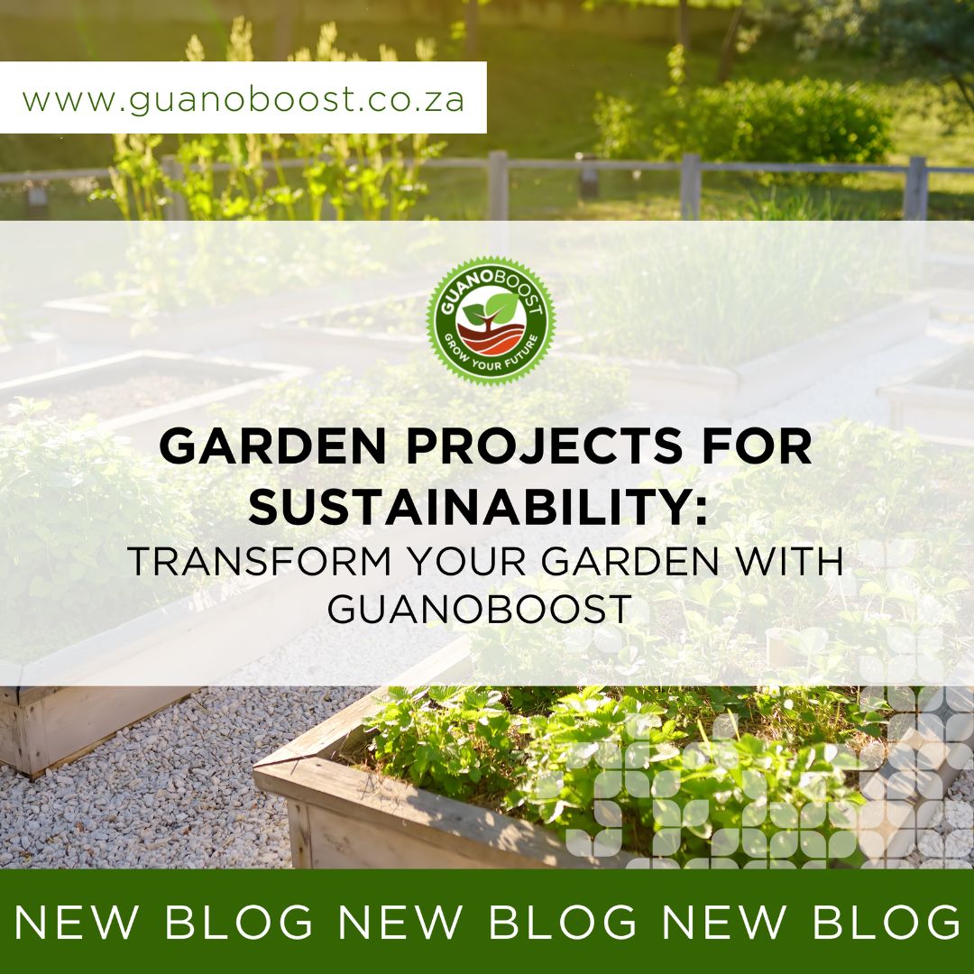 Garden Projects for Sustainability: Transform Your Garden with GuanoBoost