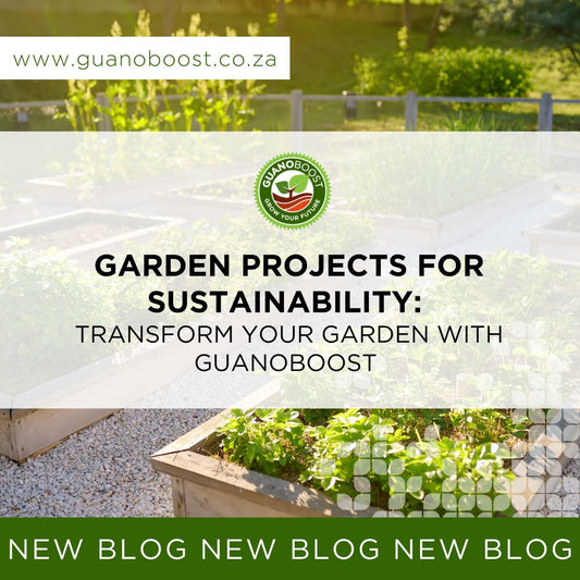 Garden Projects for Sustainability: Transform Your Garden with GuanoBoost