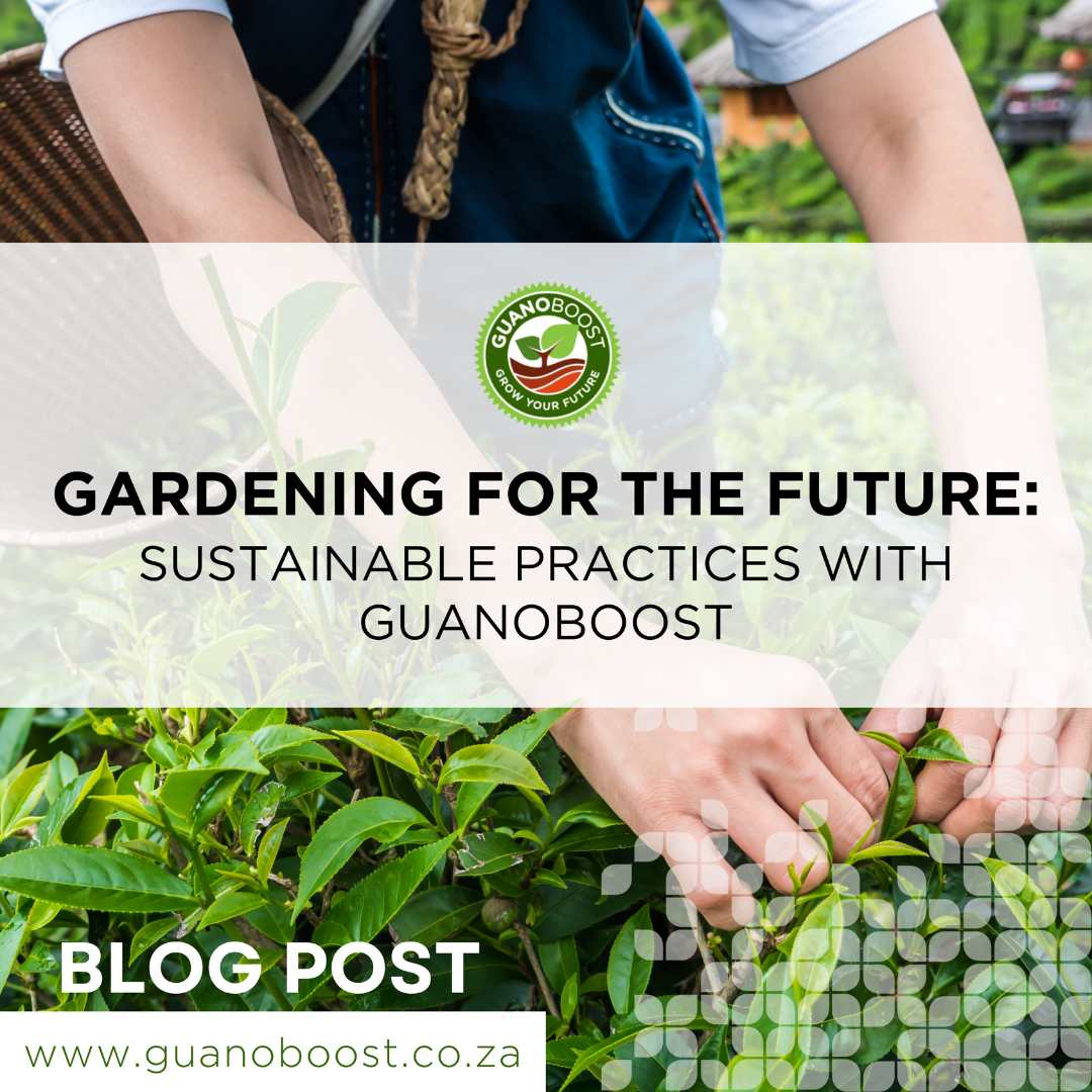 Gardening for the Future - GuanoBoost