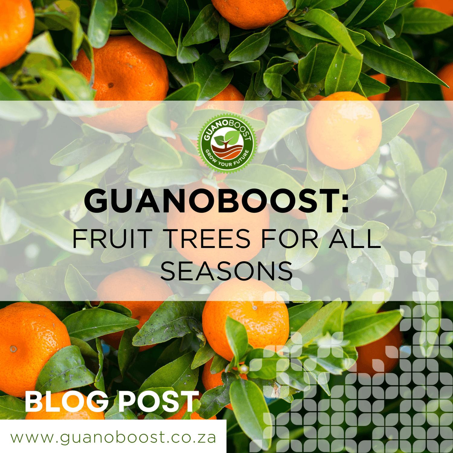 GuanoBoost: Fruit trees for all seasons - GuanoBoost
