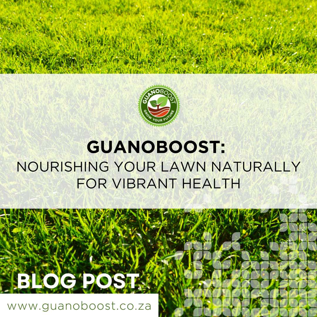 GuanoBoost: Nourishing Your Lawn Naturally for Vibrant Health - GuanoBoost
