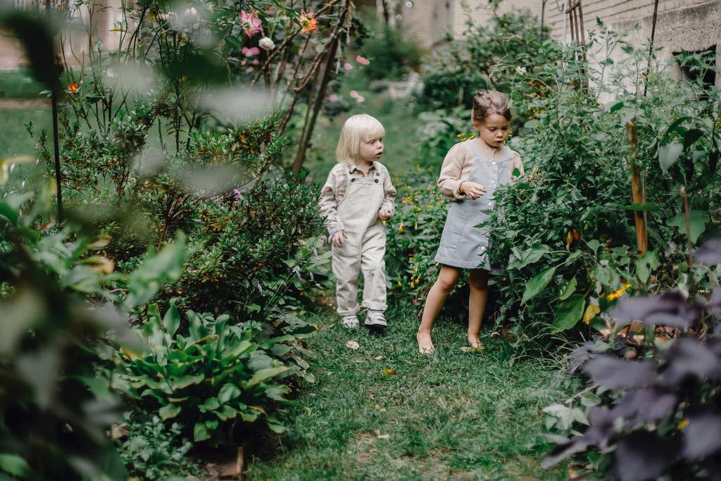 GuanoBoost: The Essential Secret for Thriving Home Gardens - GuanoBoost