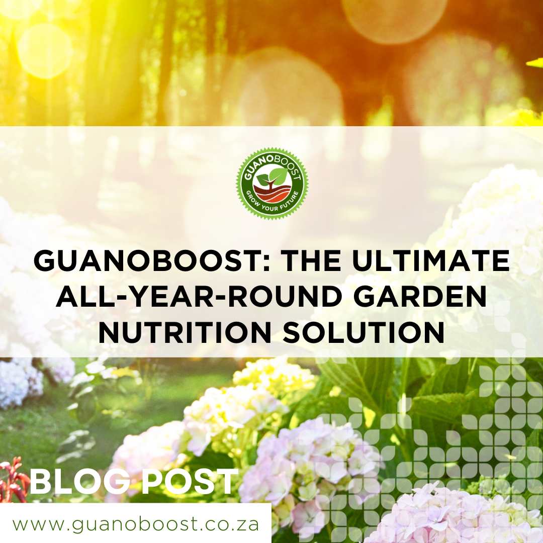 GuanoBoost: The Ultimate All-Year-Round Garden Nutrition Solution - GuanoBoost