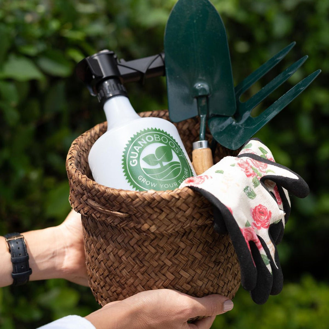 How to Take Care of Your Indoor Plants and Use GuanoBoost Liquid Plant Food for Indoor and Potted Plants. - GuanoBoost