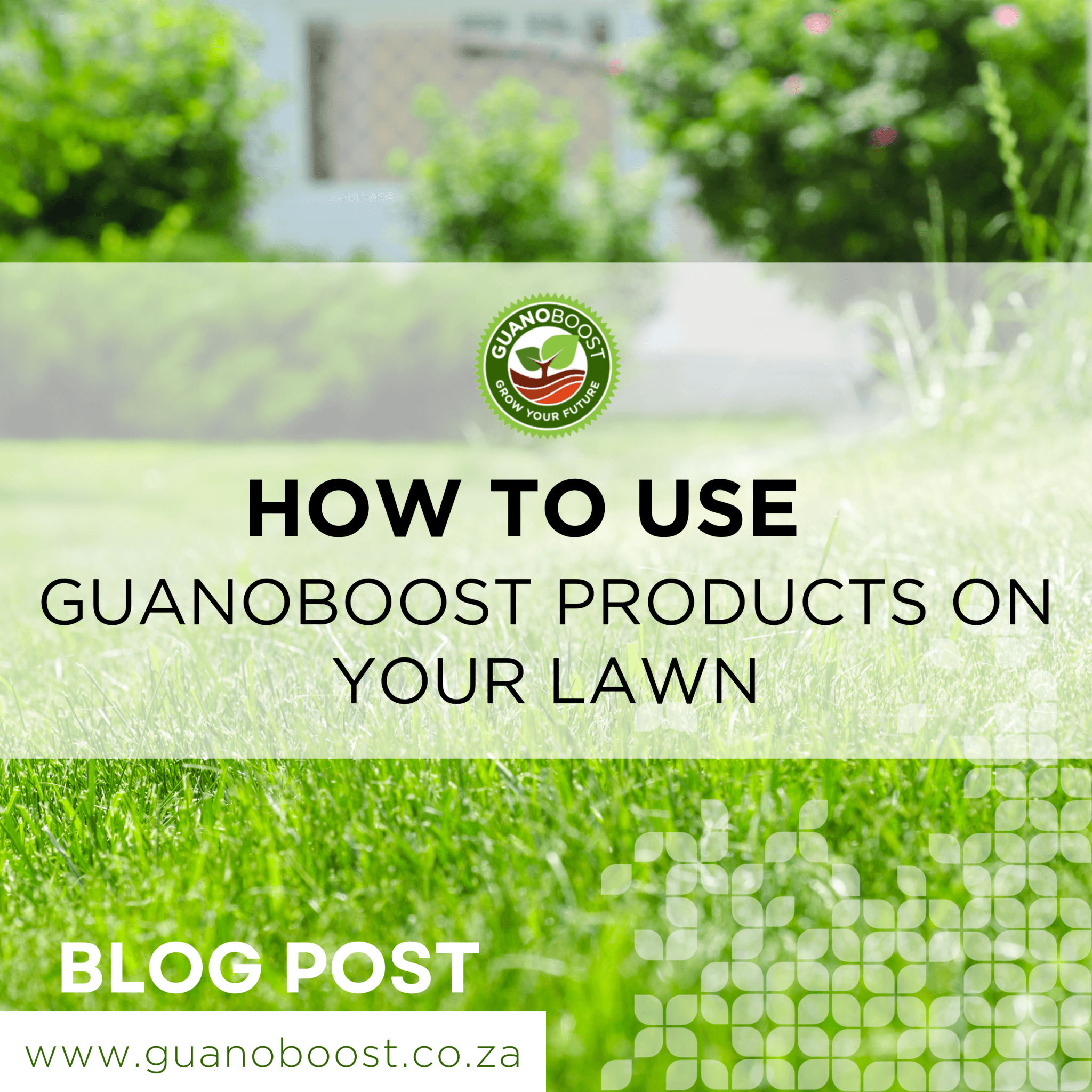 How to Use GuanoBoost Products on Your Lawn - GuanoBoost