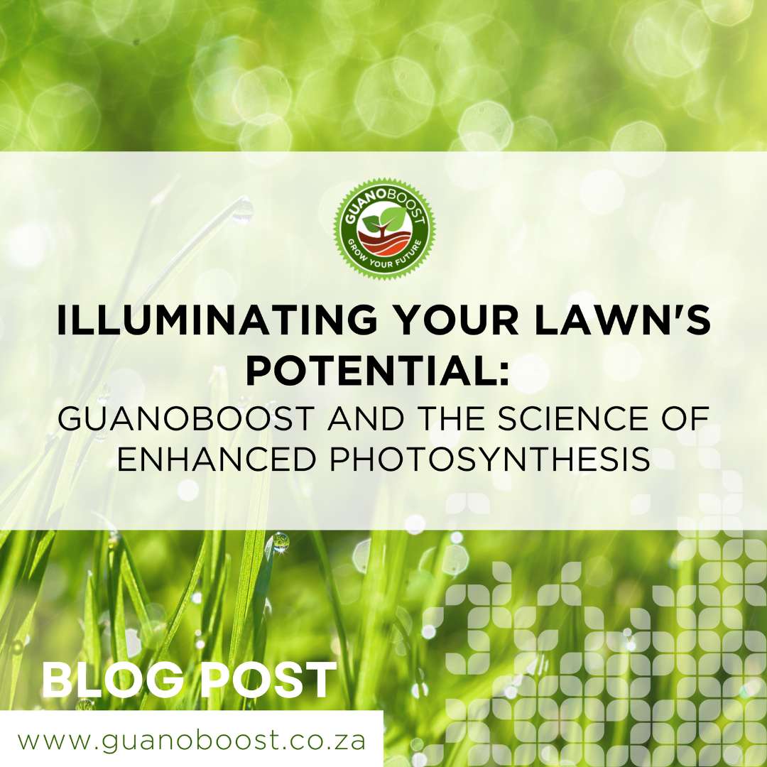 Illuminating Your Lawn's Potential: GuanoBoost and the Science of Enhanced Photosynthesis - GuanoBoost