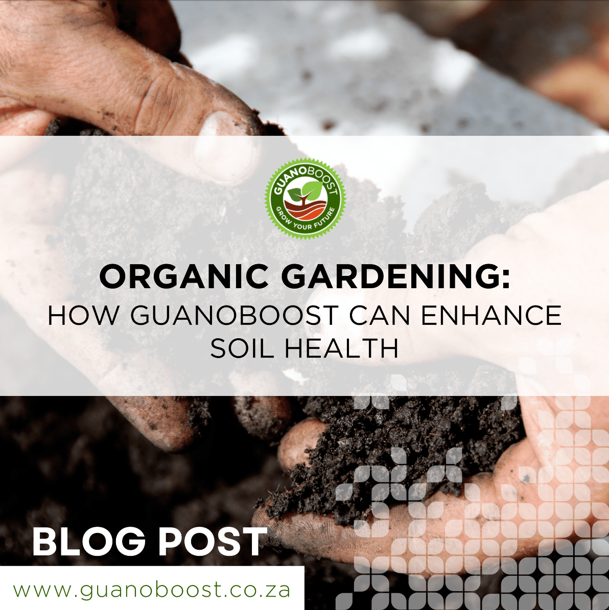 Organic Gardening: How GuanoBoost Can Enhance Soil Health - GuanoBoost
