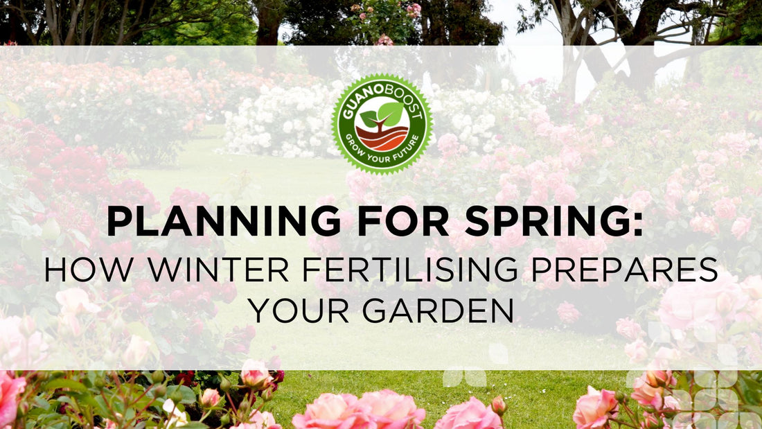Planning for Spring: How Winter Fertilising Prepares Your Garden