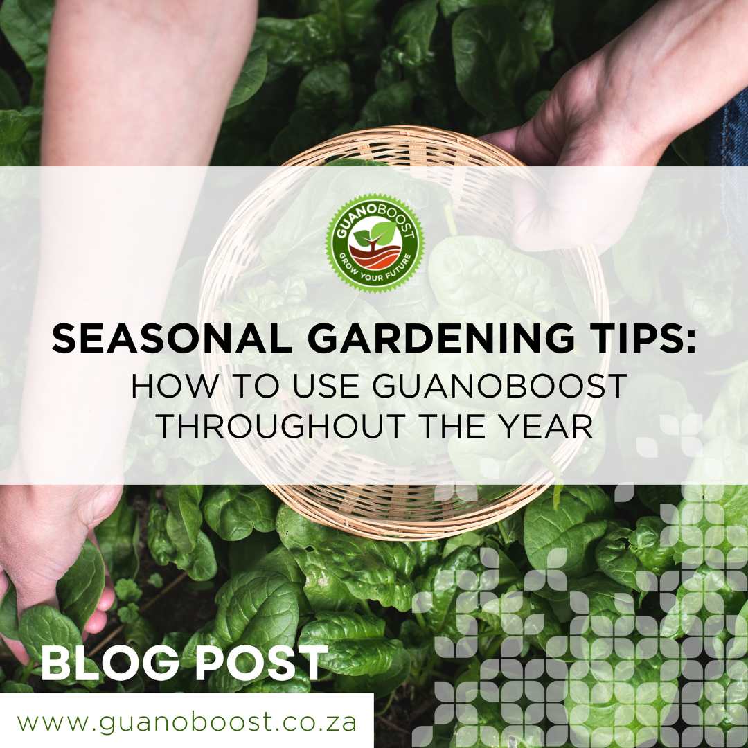 Seasonal Gardening Tips: How to Use GuanoBoost Throughout the Year - GuanoBoost