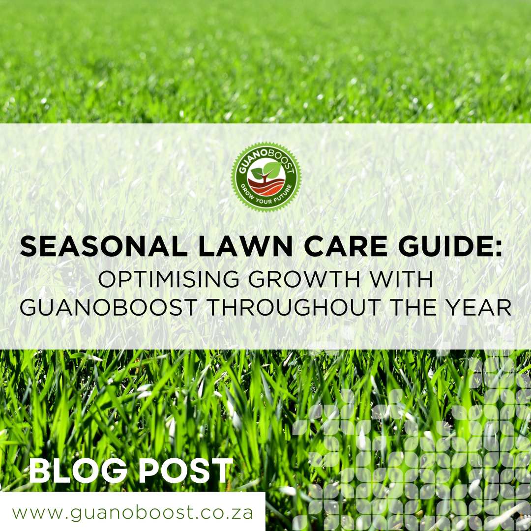 Seasonal Lawn Care Guide: Optimising Growth with GuanoBoost - GuanoBoost