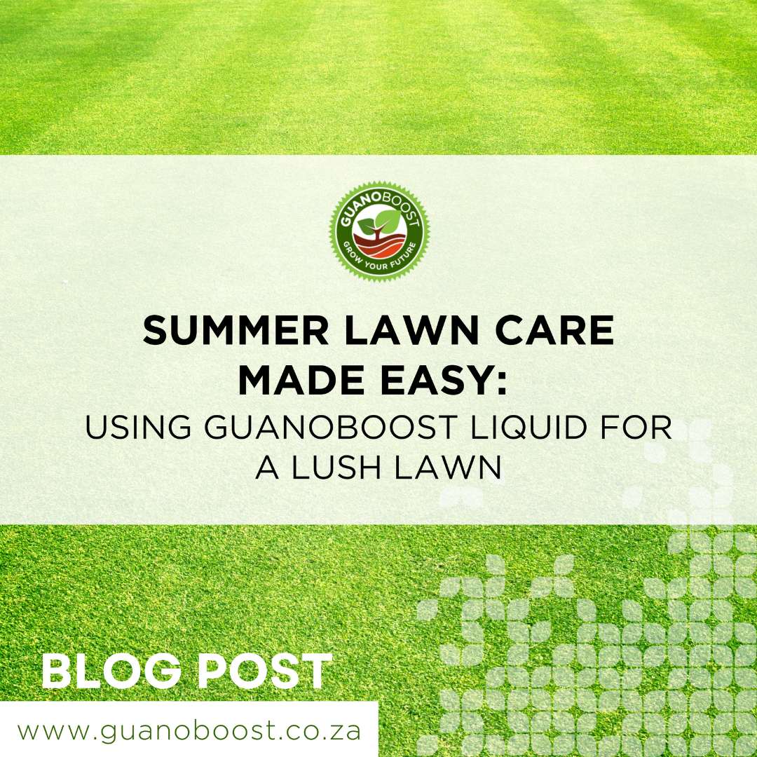 Summer Lawn Care Made Easy: Using GuanoBoost Liquid for a Lush Lawn - GuanoBoost
