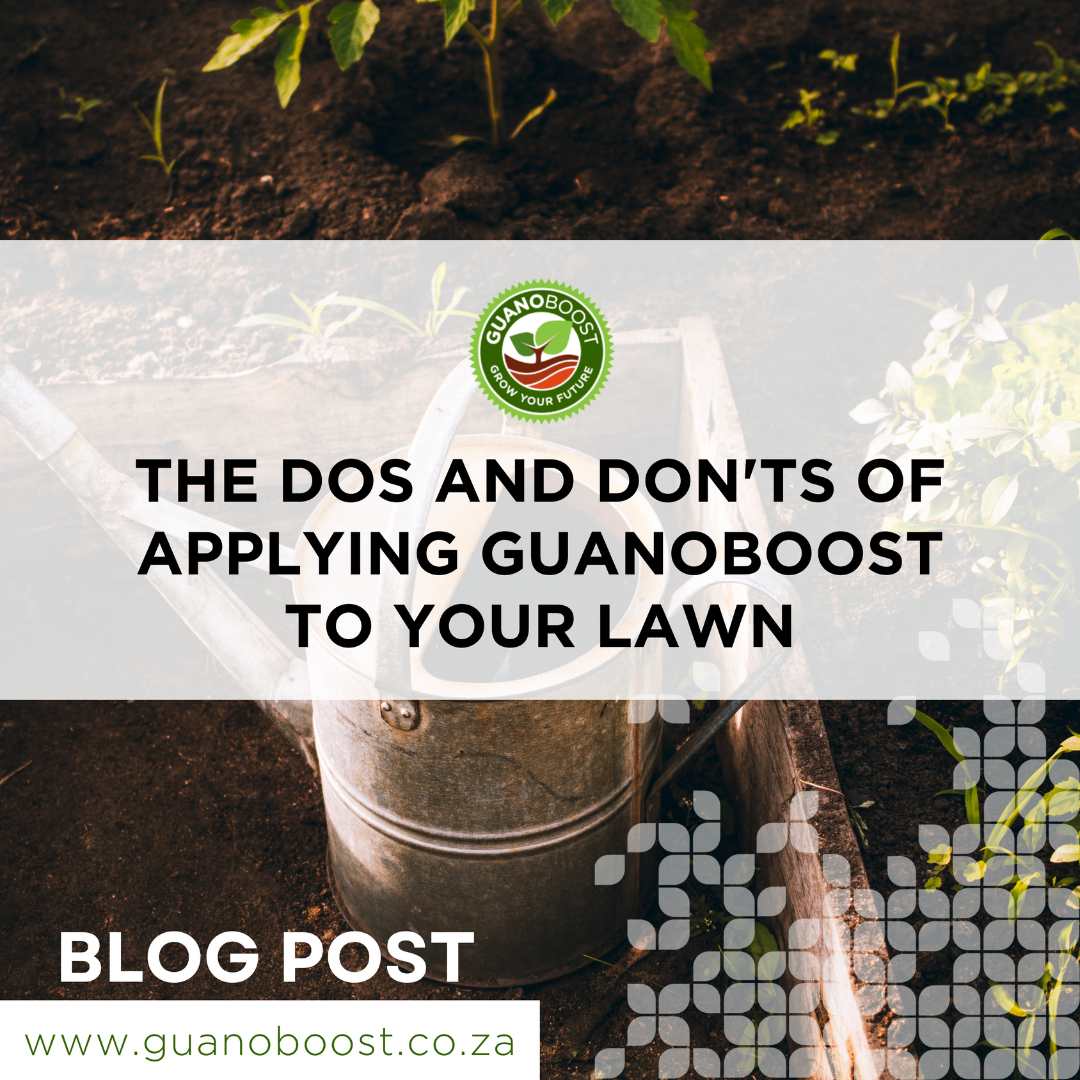 The Do's and Don'ts of Applying GuanoBoost to Your Lawn - GuanoBoost