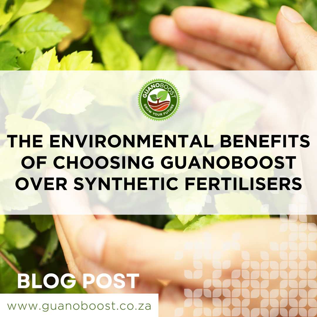 The Eco-Friendly Choice for Homeowners: GuanoBoost and the Well-being of Your Plants and Lawns - GuanoBoost
