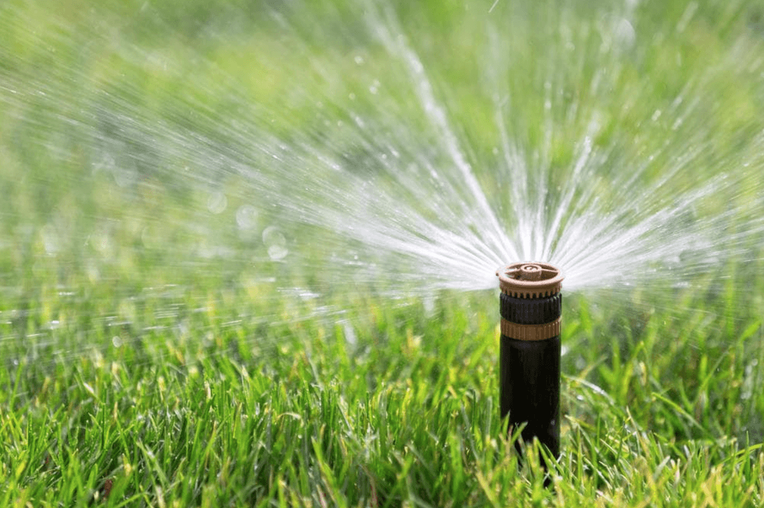 THE ULTIMATE GUIDE ON HOW TO WATER YOUR LAWN THE RIGHT WAY