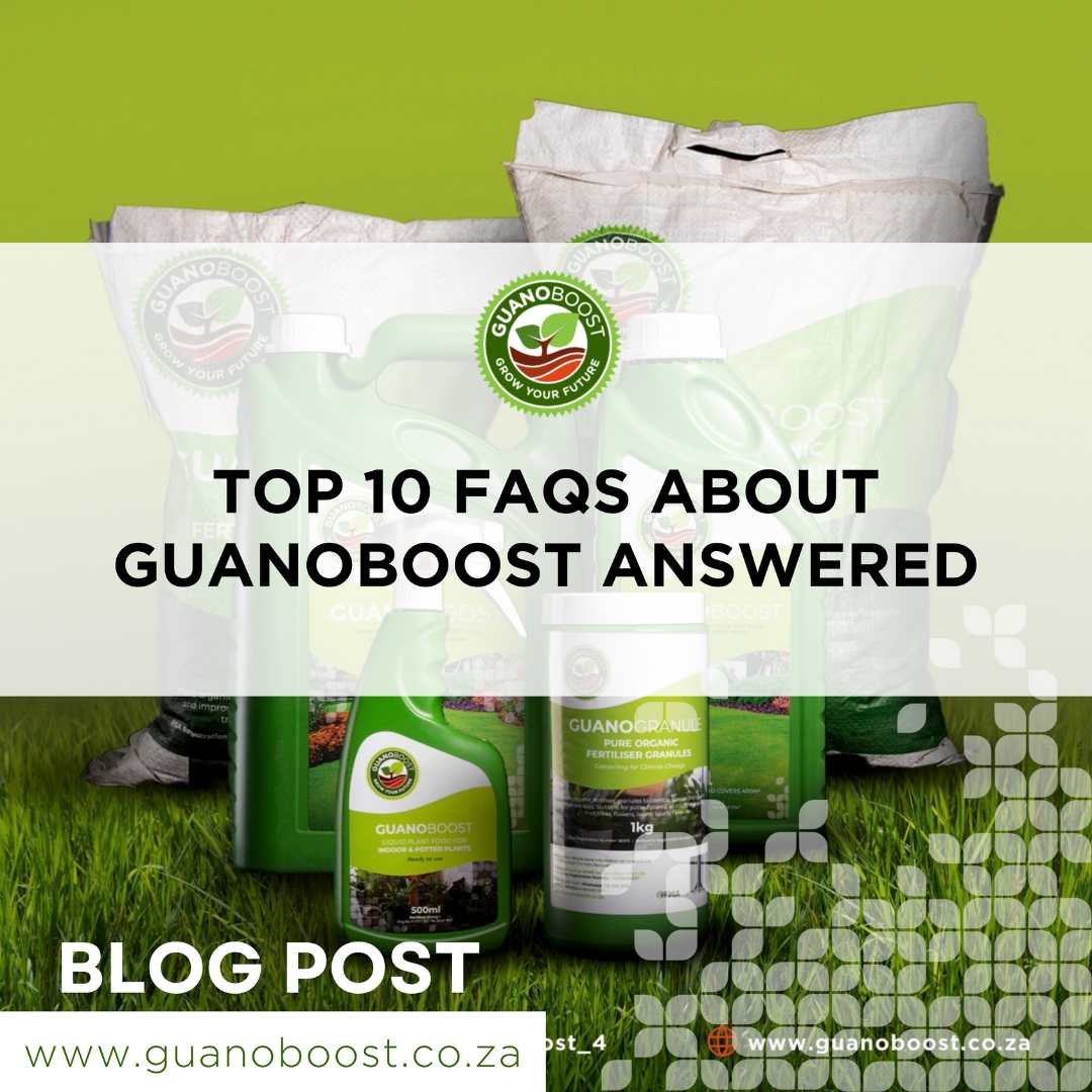 Top 10 FAQs About GuanoBoost Answered - GuanoBoost