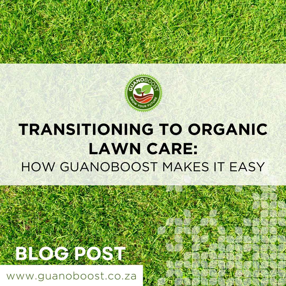 Transitioning to Organic Lawn Care: How GuanoBoost Makes It Easy - GuanoBoost