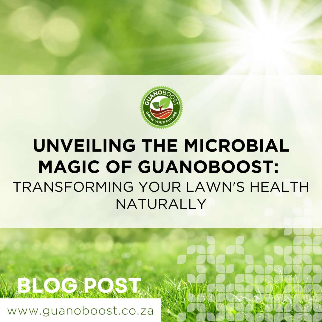 Unveiling the Microbial Magic of GuanoBoost: Transforming Your Lawn's Health Naturally - GuanoBoost