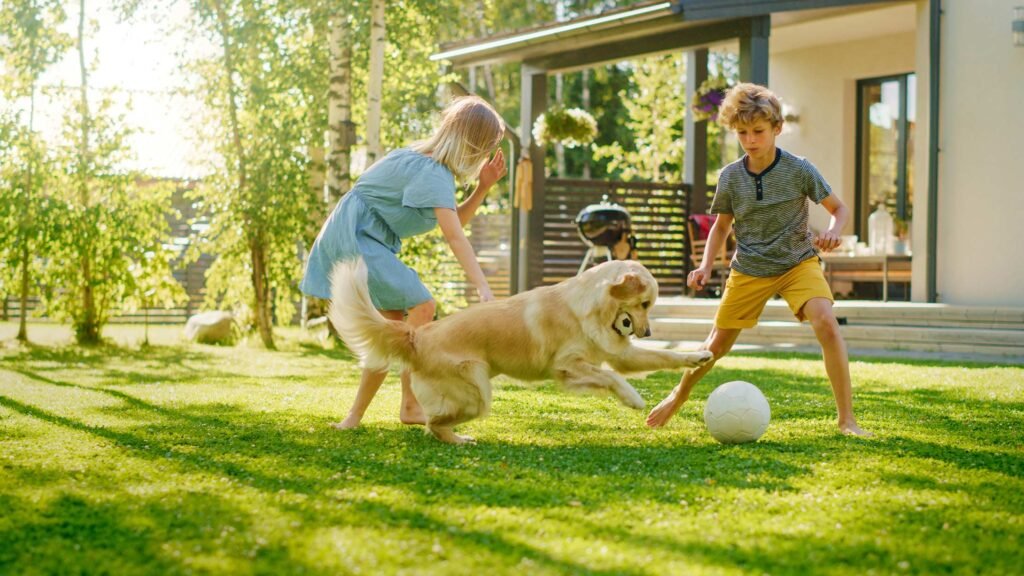 WHAT IS THE DIFFERENCE BETWEEN CHEMICAL AND ORGANIC FERTILIZERS AND WHICH IS BETTER? - GuanoBoost