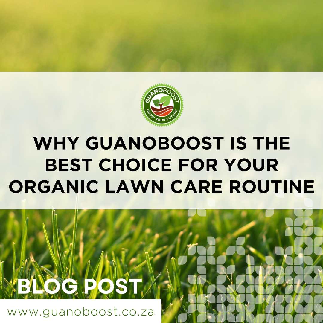 Why GuanoBoost is the Best Choice for Your Organic Lawn Care Routine - GuanoBoost