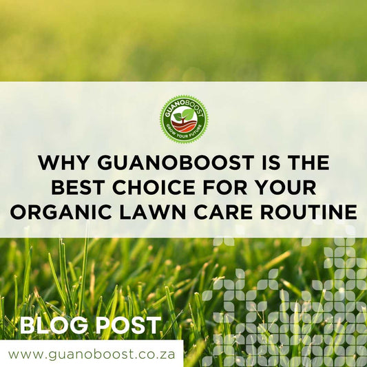 Why GuanoBoost is the Best Choice for Your Organic Lawn Care Routine - GuanoBoost