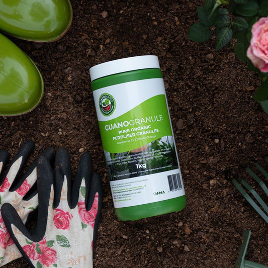 Winter Vegetable Garden - GuanoBoost