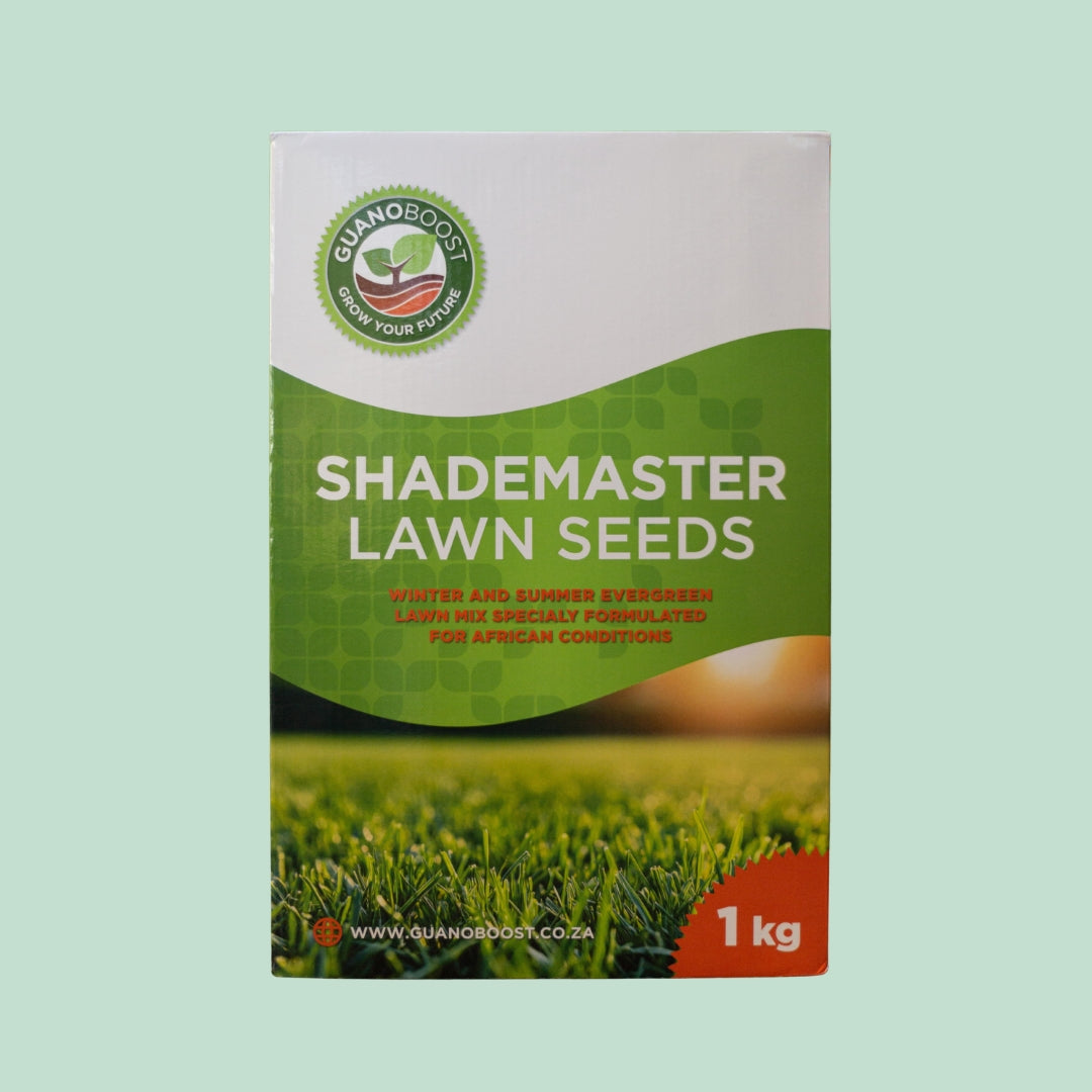 1Kg Shademaster Lawn Seeds